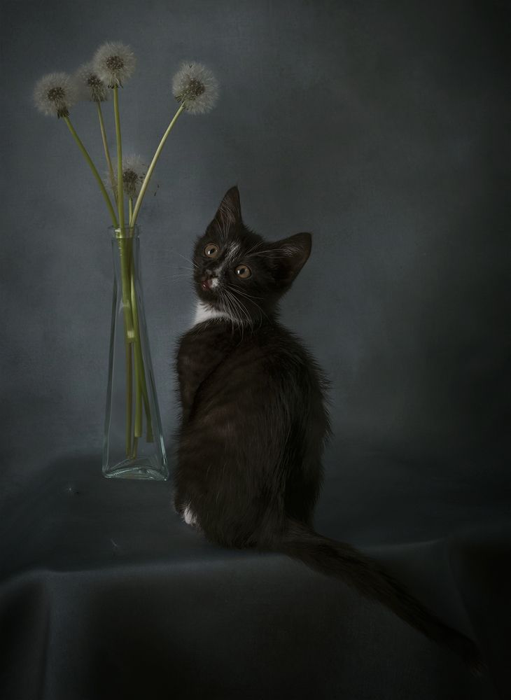 Photograph by Александр Чазов