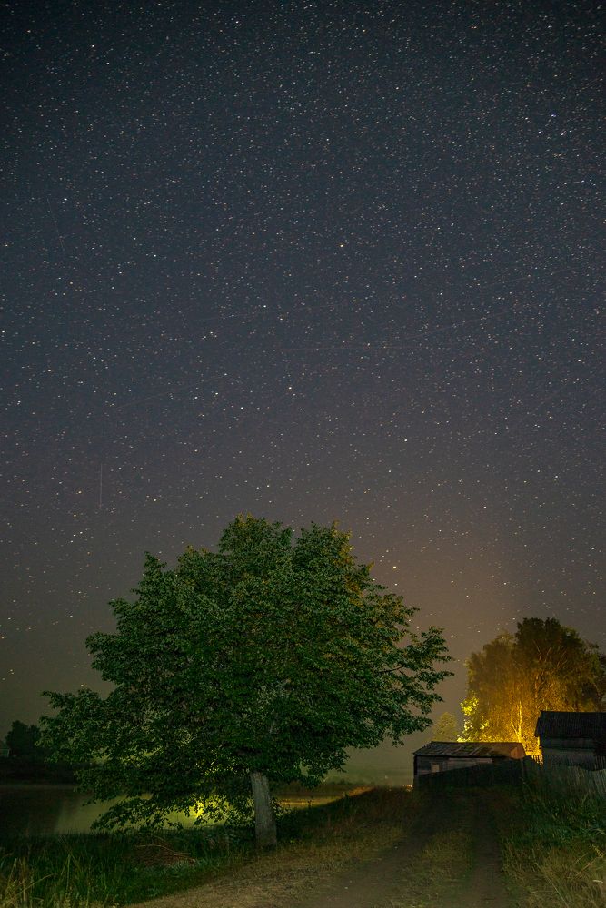 Фотография автора Шуплецов Алексей