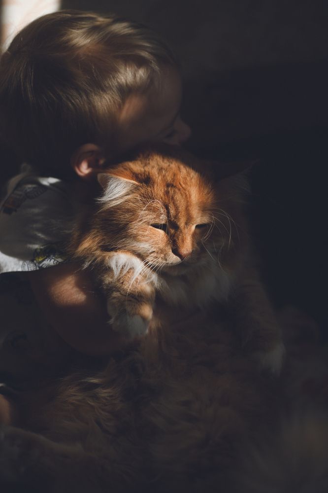 Photograph by Екатерина Андросова