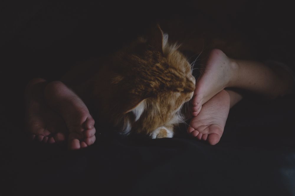 Photograph by Екатерина Андросова