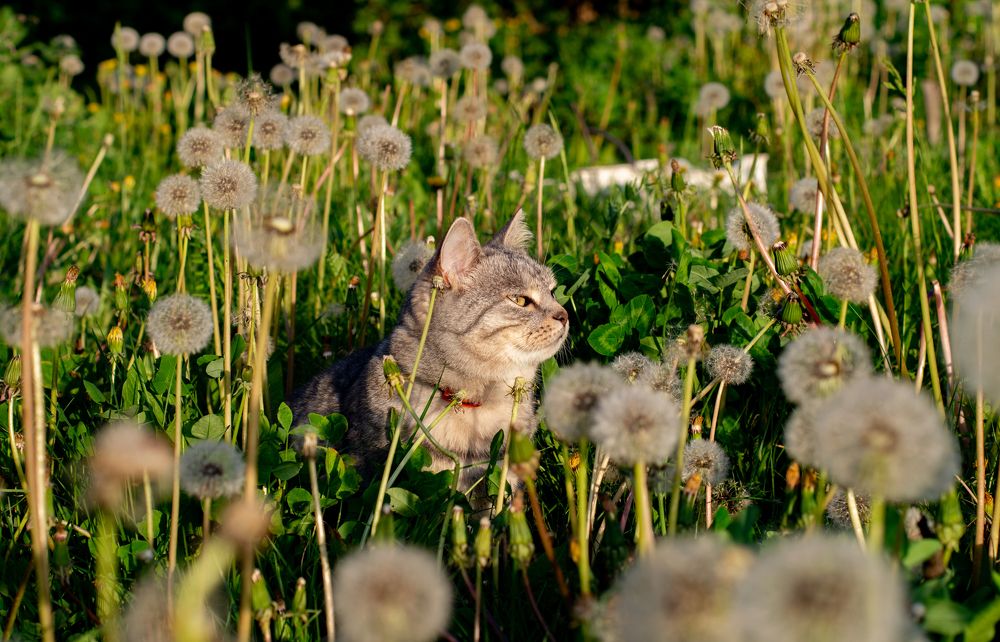 Photograph by Динара Богатырева