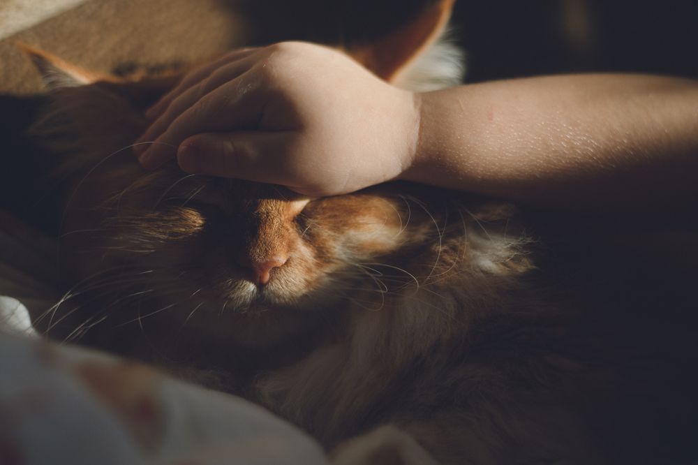 Photograph by Екатерина Андросова