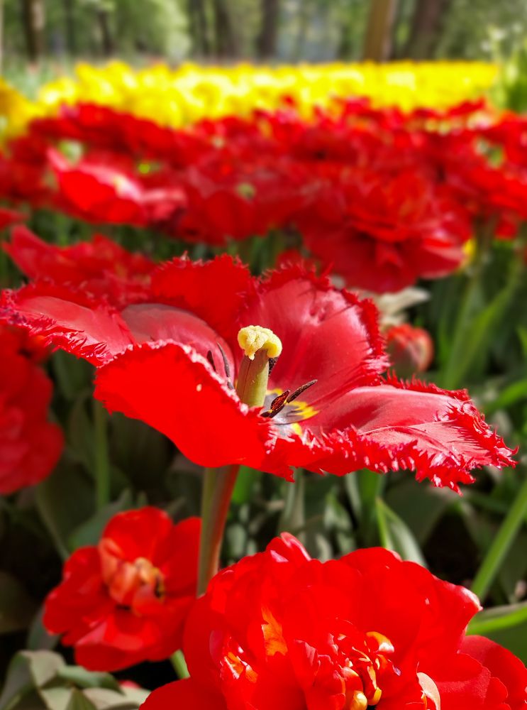 Фотография автора Светлана Дунаева