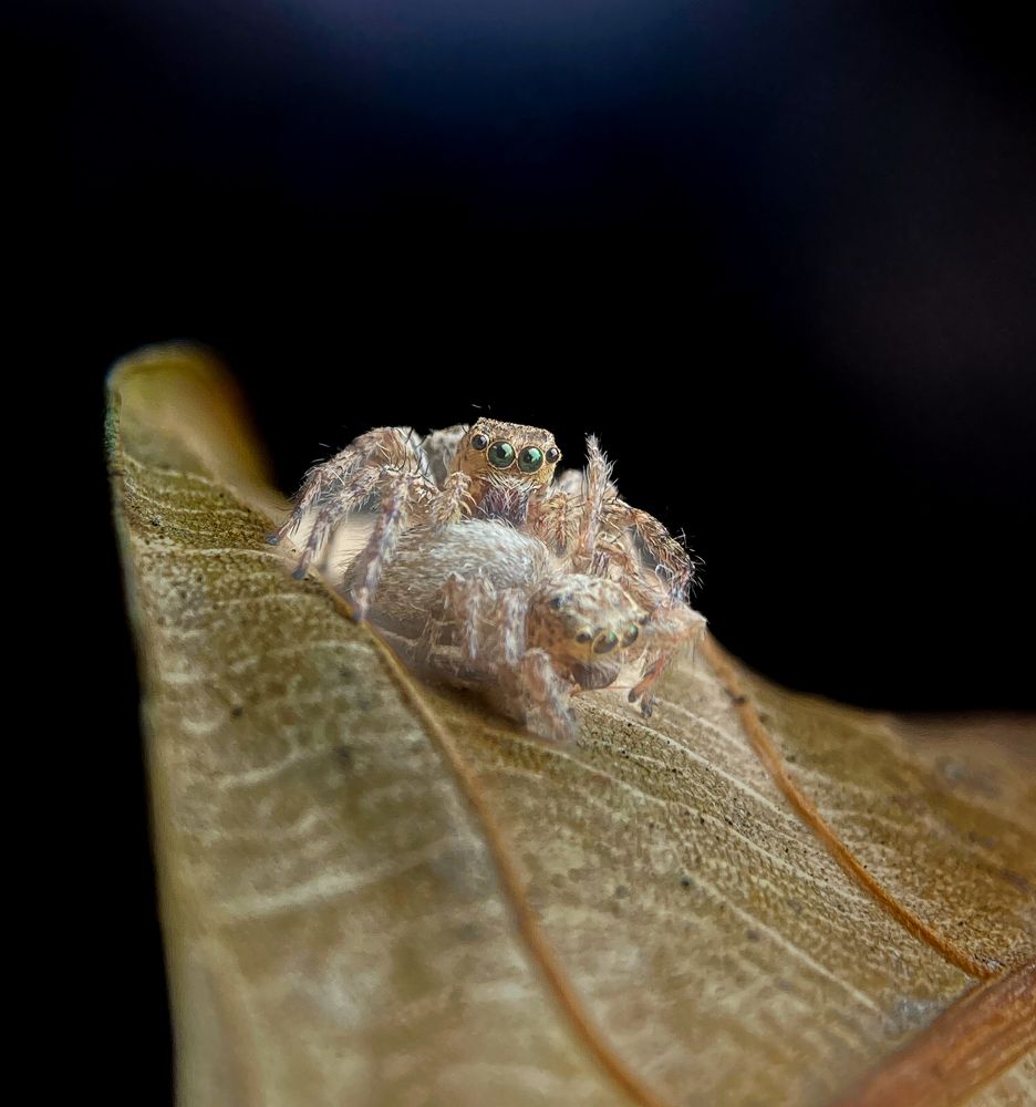 Photograph by Abhijit Roy