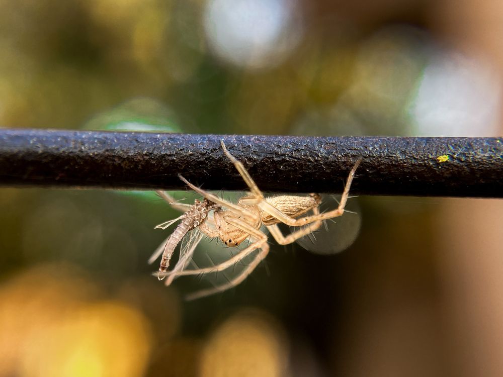 Photograph by Abhijit Roy