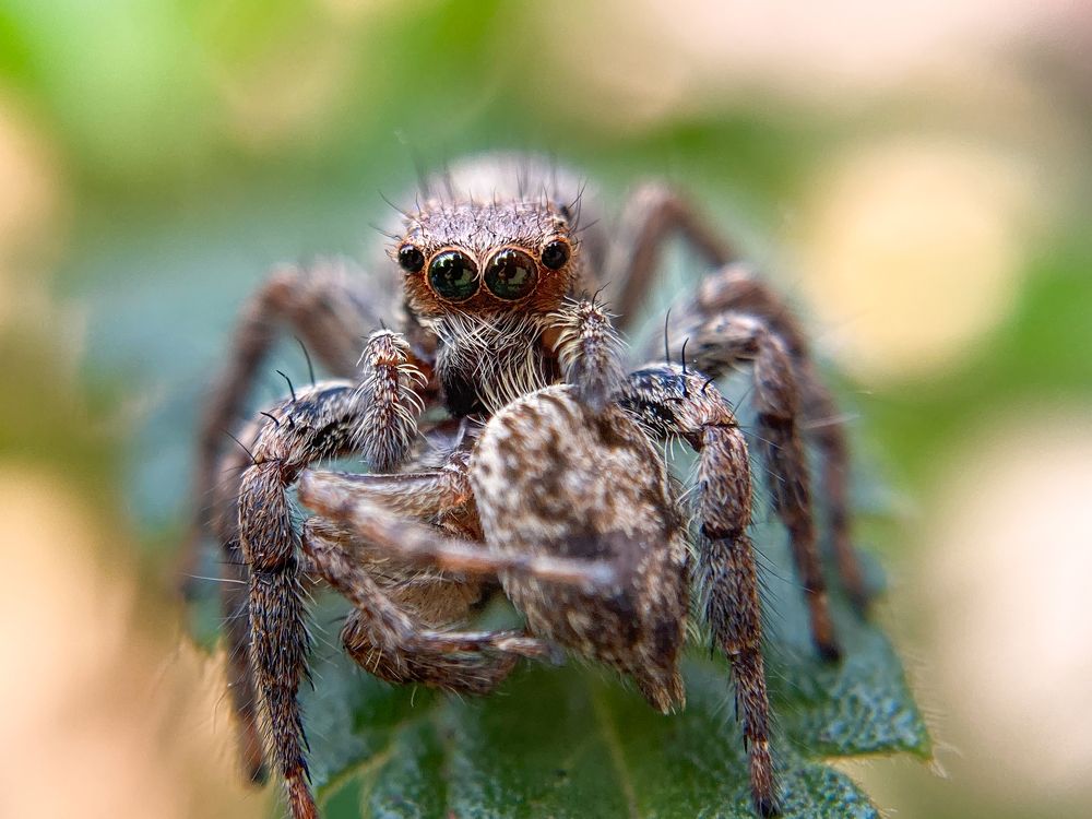 Photograph by Abhijit Roy