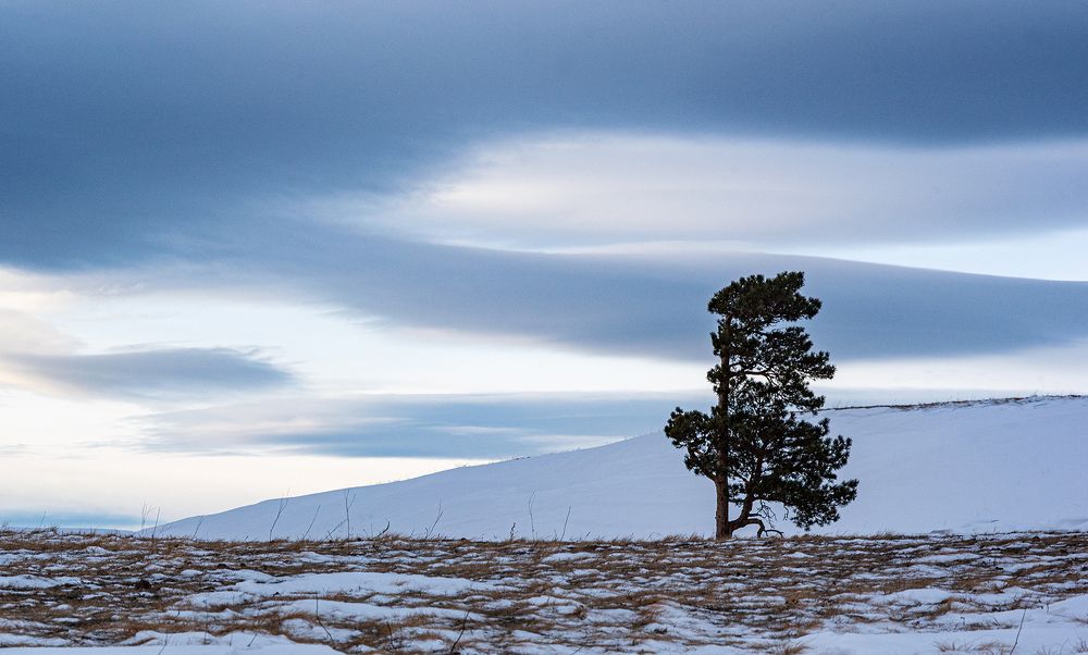 Фотография автора Сергей Сынтин
