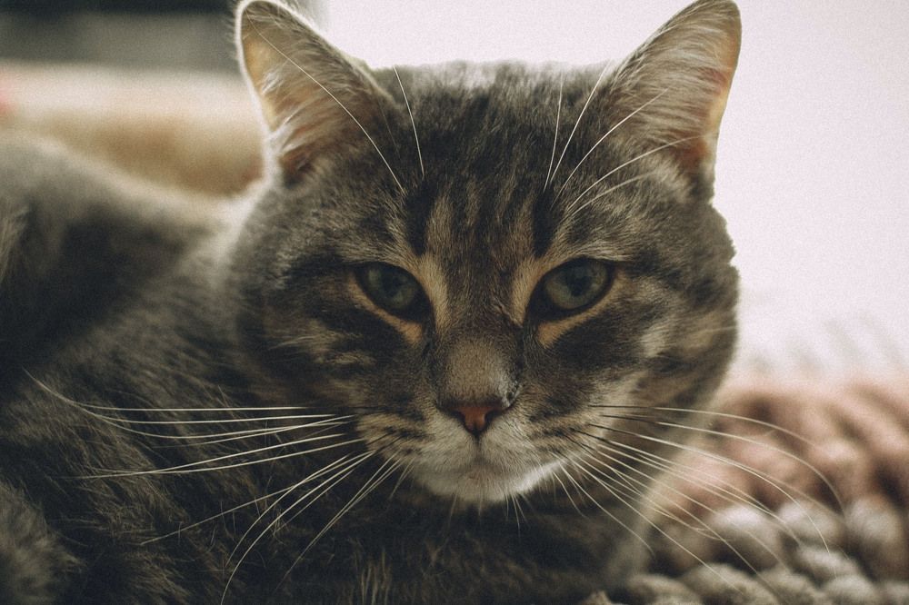 Photograph by Андрей Астафьев