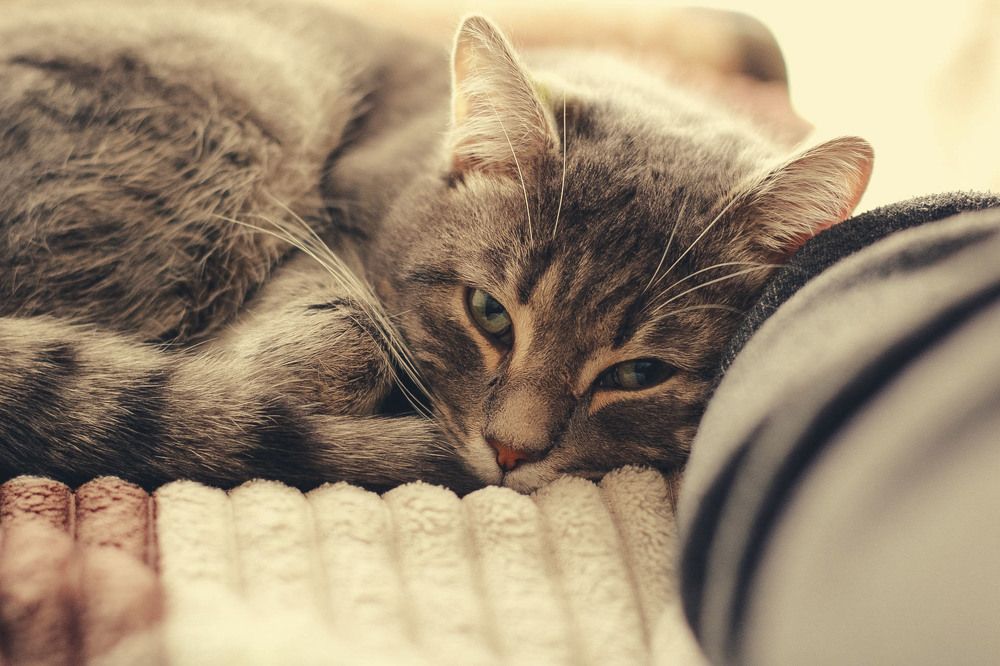 Photograph by Андрей Астафьев