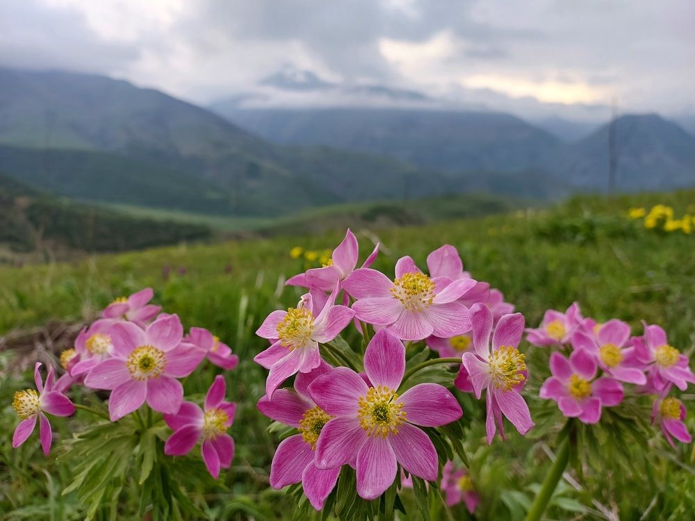 Photograph by Евгений Яковлев