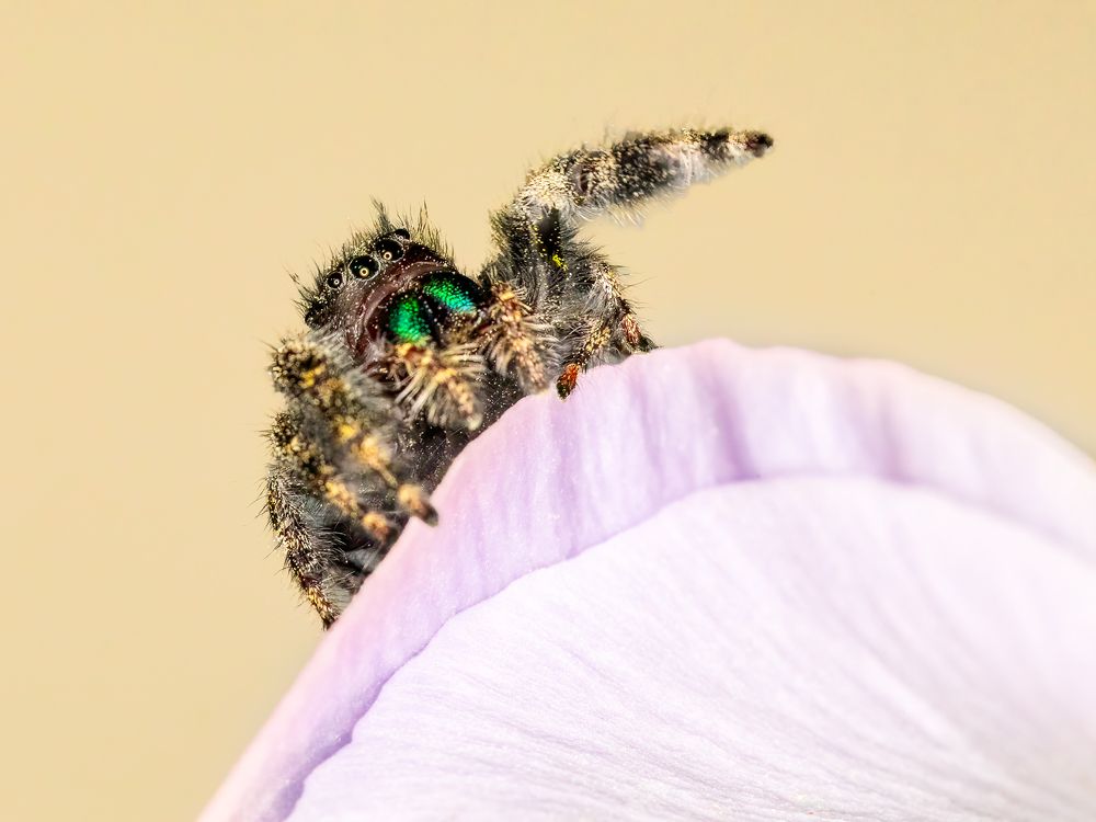 Photograph by Zhenhuan Zhou