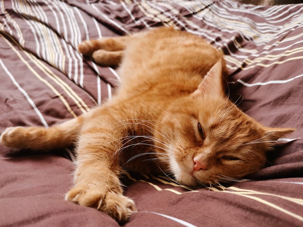 Photograph by Анастасия Мальцева