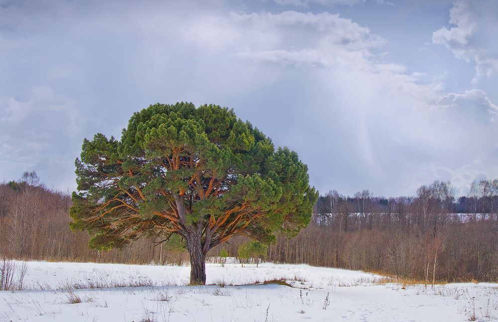 Photograph by Анатолий Максимов