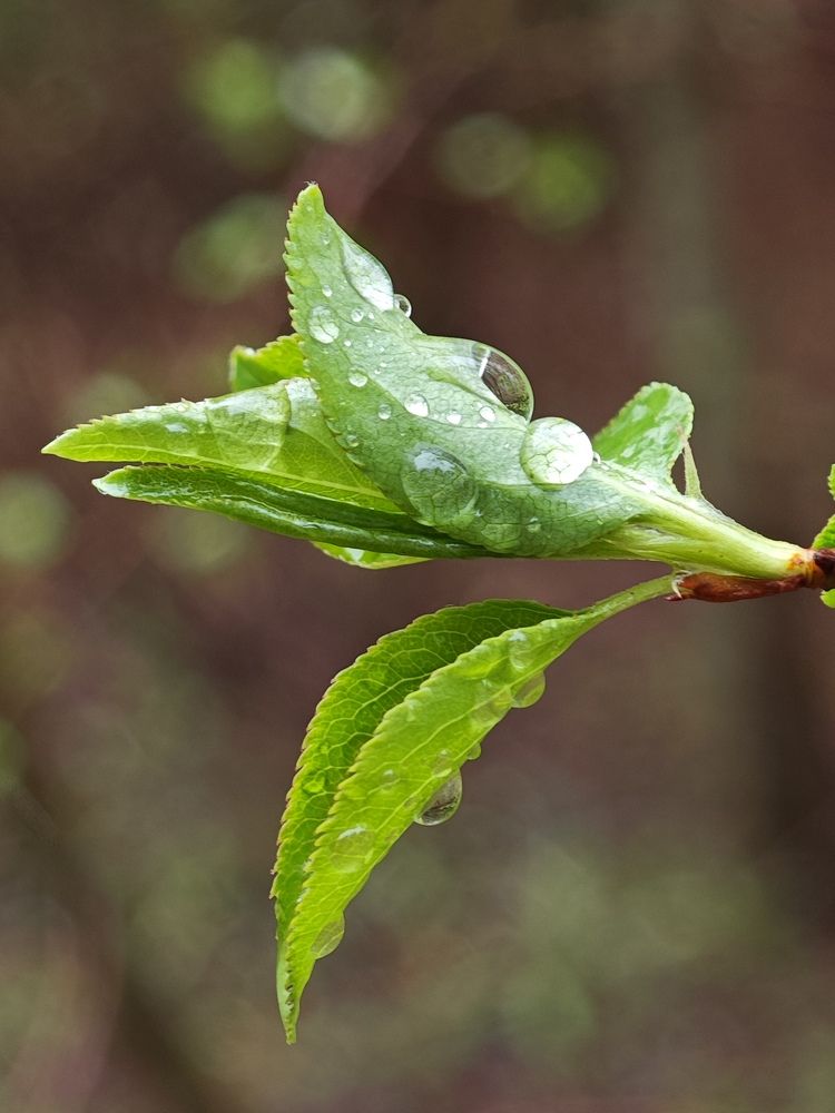 Photograph by Надежда Кангина
