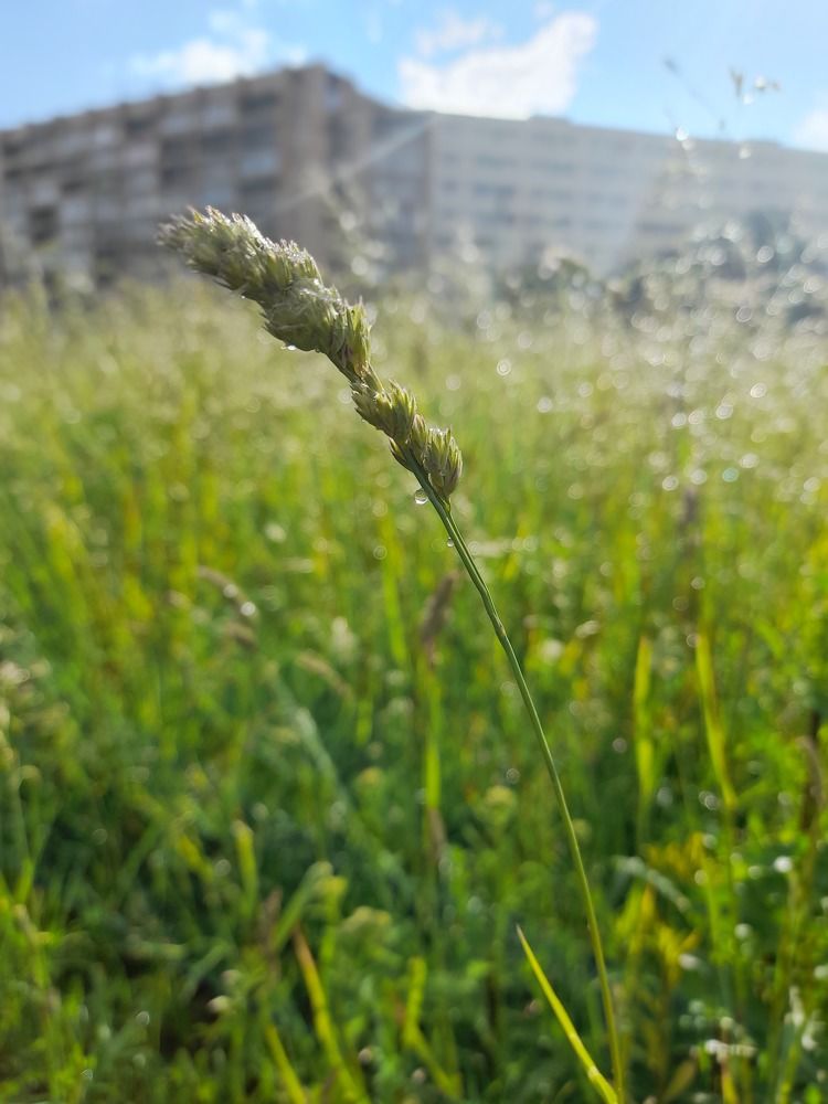 Photograph by Анна Савченко