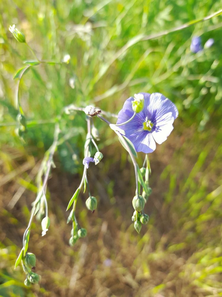 Photograph by Анна Савченко