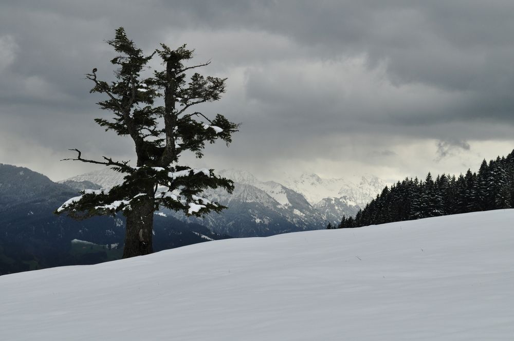 Photograph by Евгений