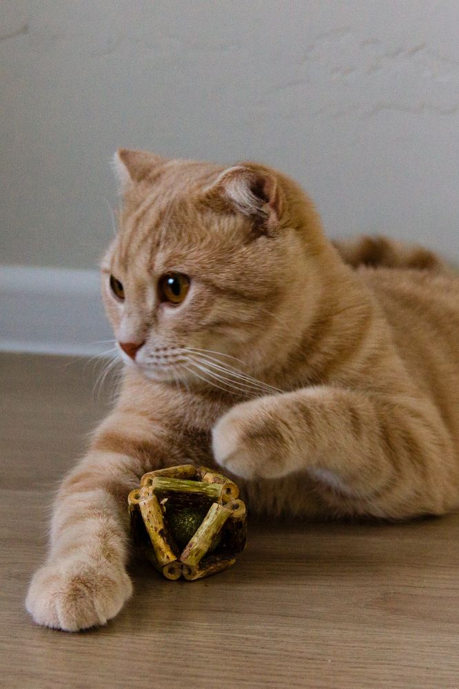 Photograph by Юлия Залогина