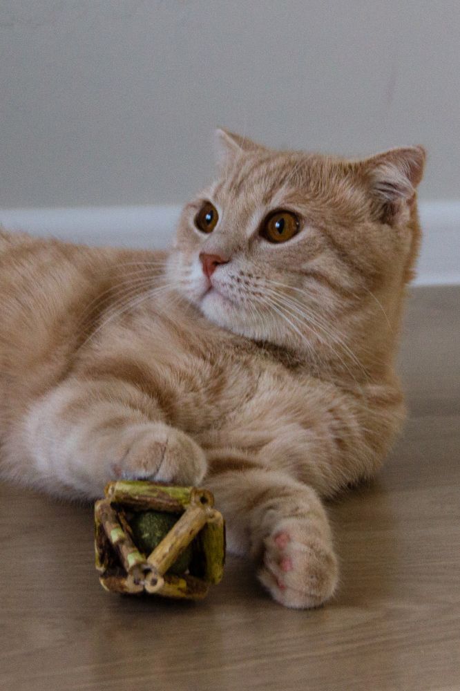 Photograph by Юлия Залогина