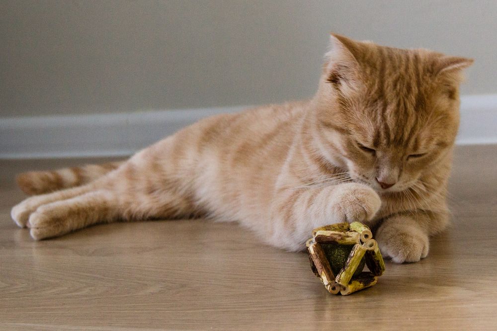 Photograph by Юлия Залогина