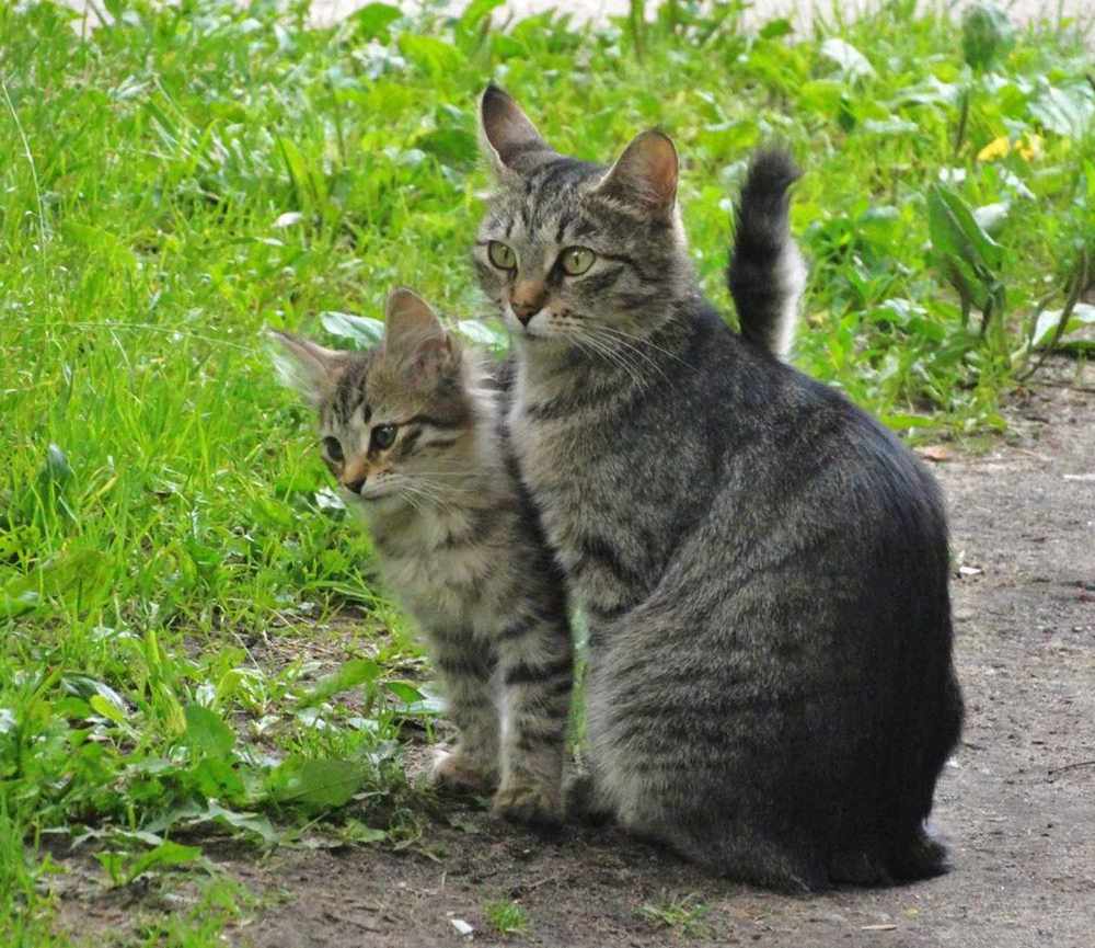 Photograph by Павел Васильев