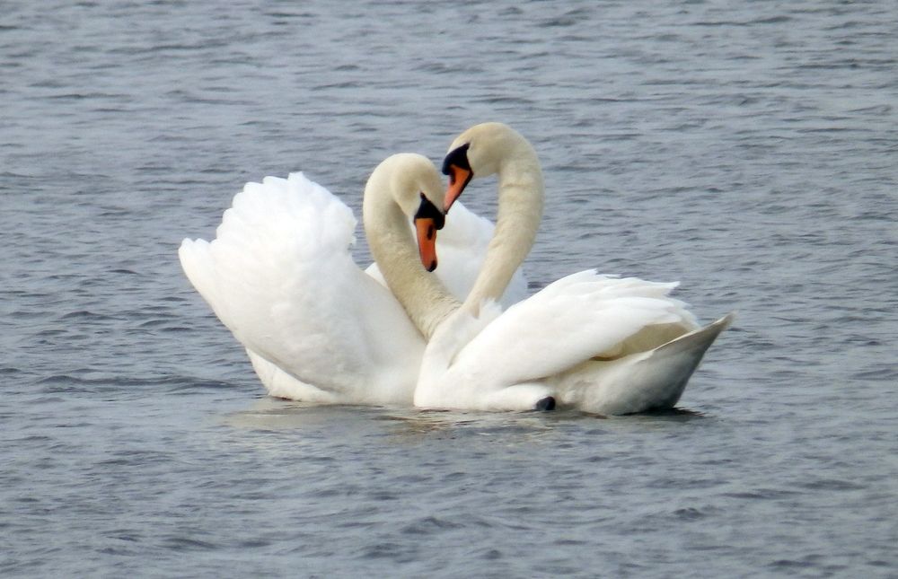 Photograph by Ирина Арканова