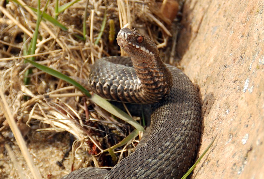 Photograph by Ирина Арканова