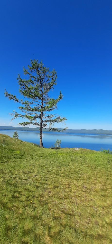 Безмятежность