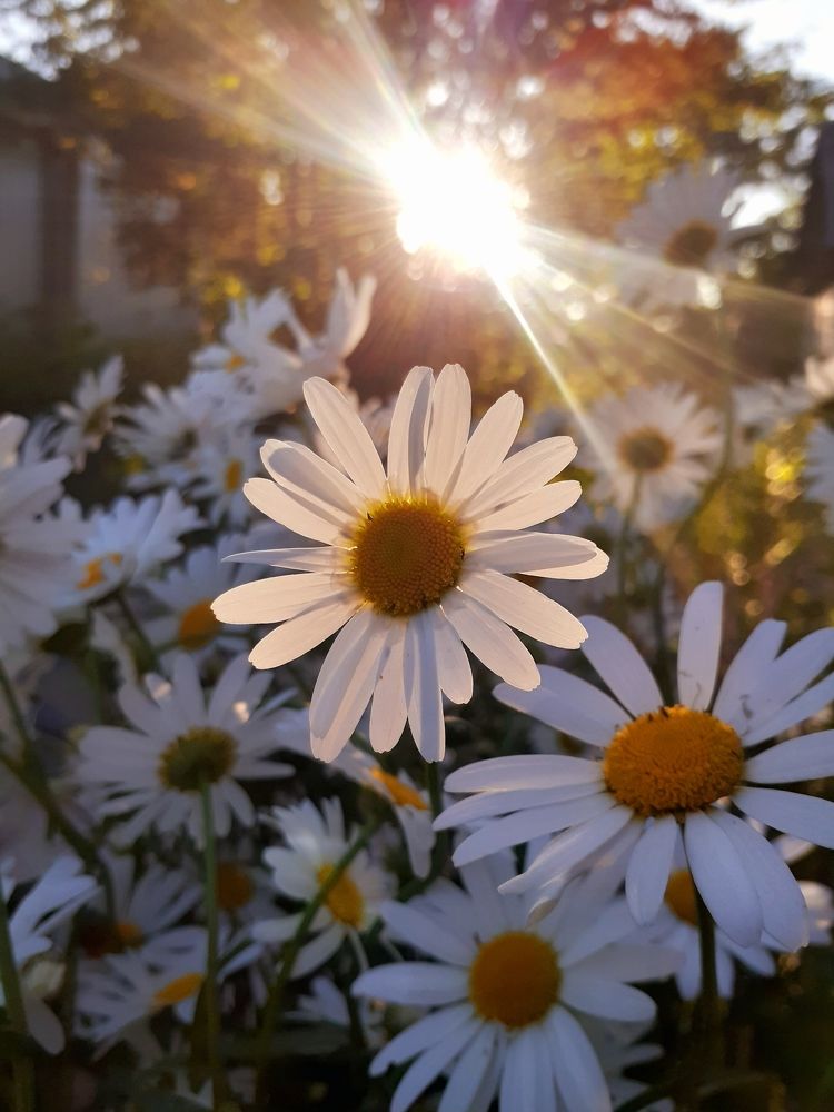 Photograph by Татьяна Колчанова