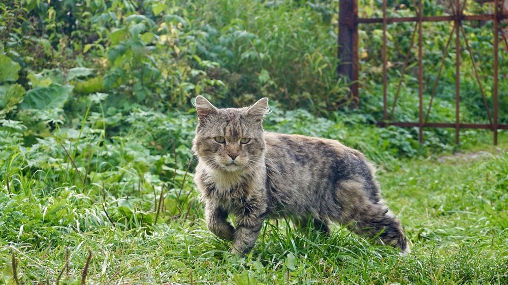 Photograph by Павел Каштанкин