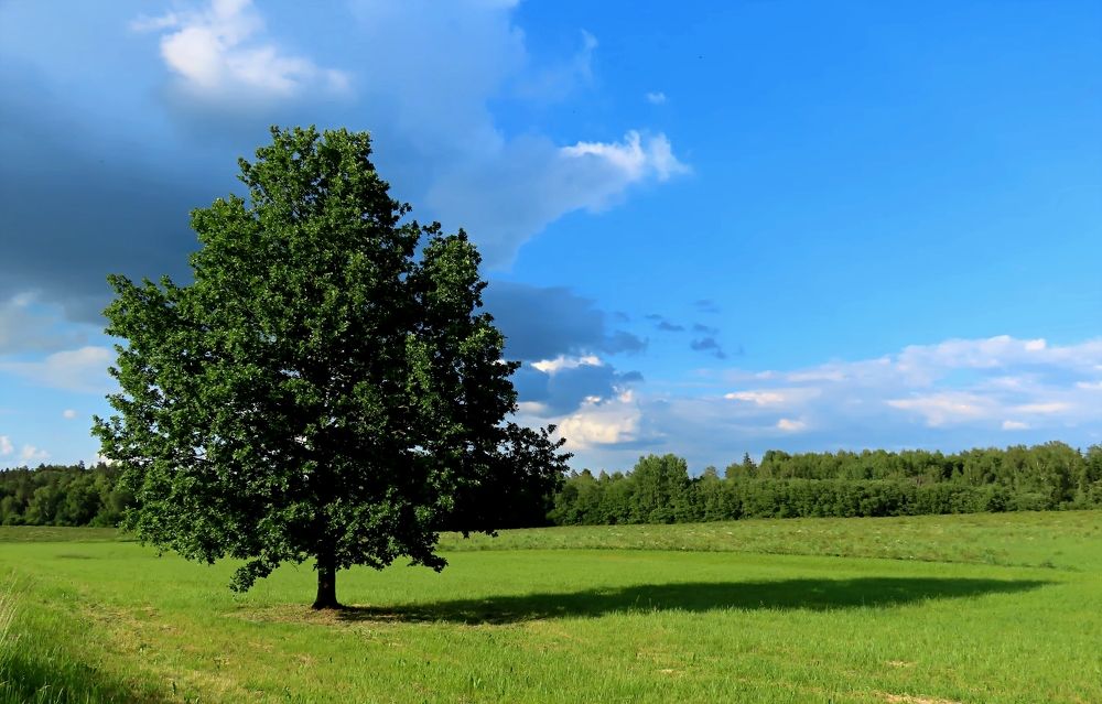 Photograph by Pjotr Alekseev