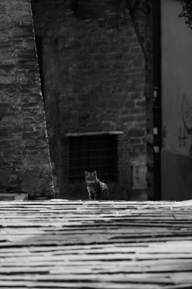 Photograph by Арина Бедрик