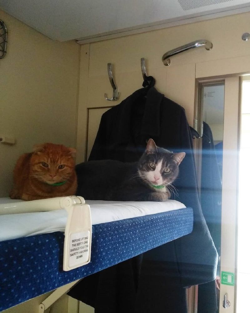 Фотография автора Людмила Чжен