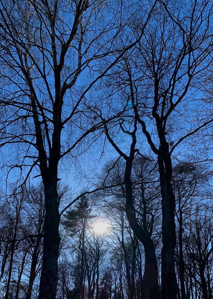 Photograph by Надежда Смирнова