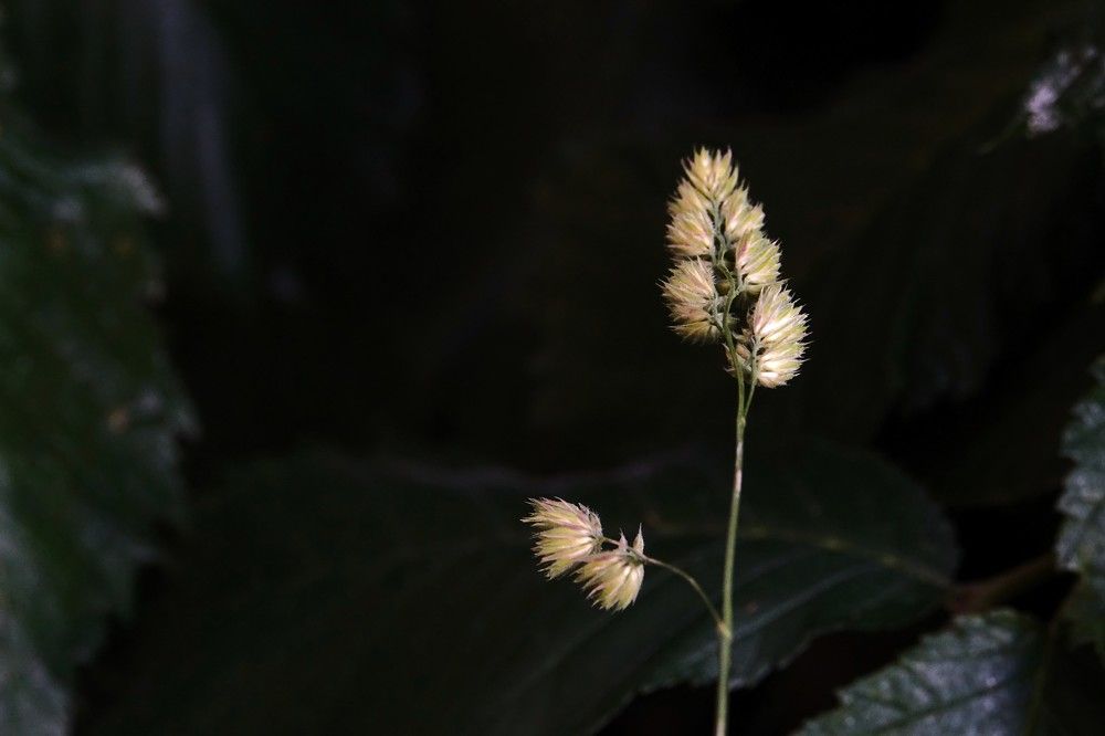 Photograph by jelena konickaja