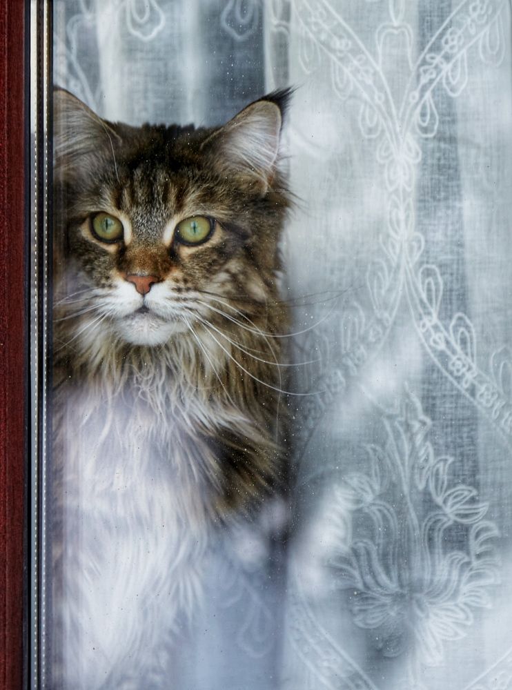 Photograph by Александр Шандов