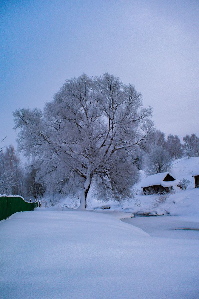 Photograph by Ольга