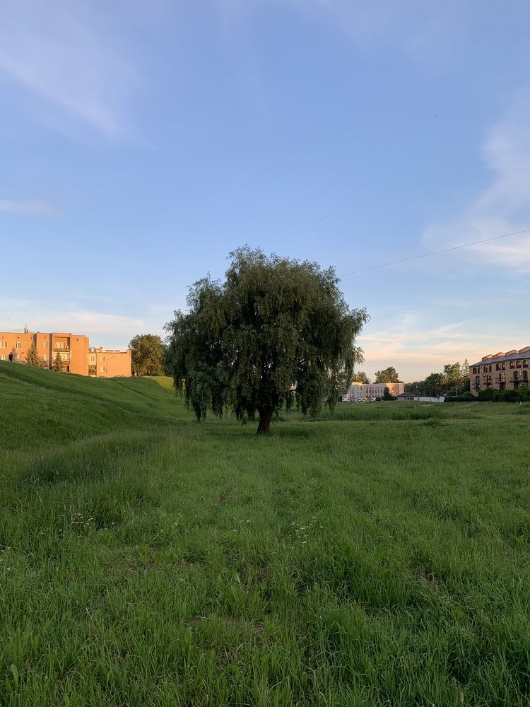 Photograph by Павел Каштанкин