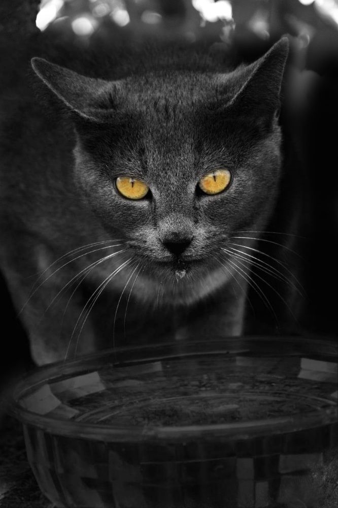 Photograph by Sophia Matskalidou