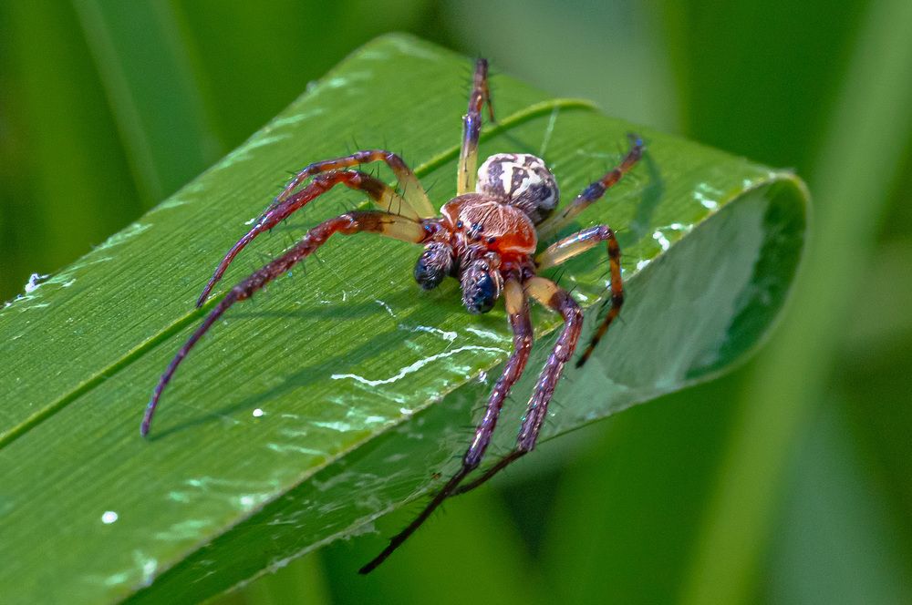Фотография автора Николай Бологов