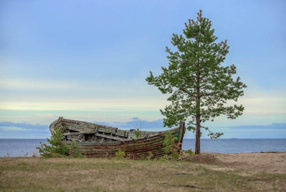 Фотография автора Михаил Ездаков