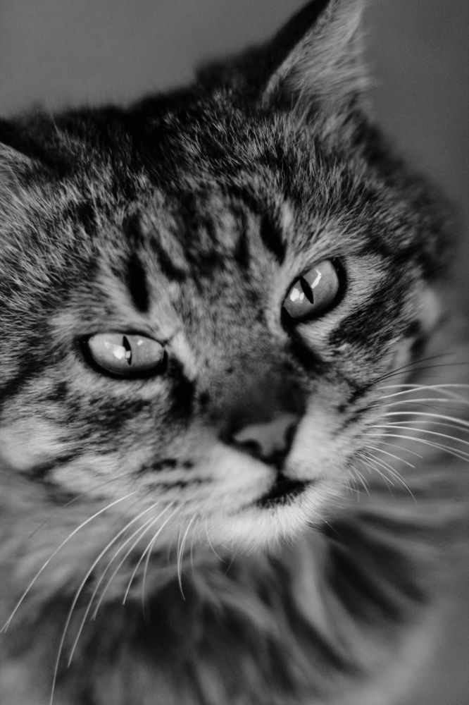 Photograph by Anastasiya Danilova