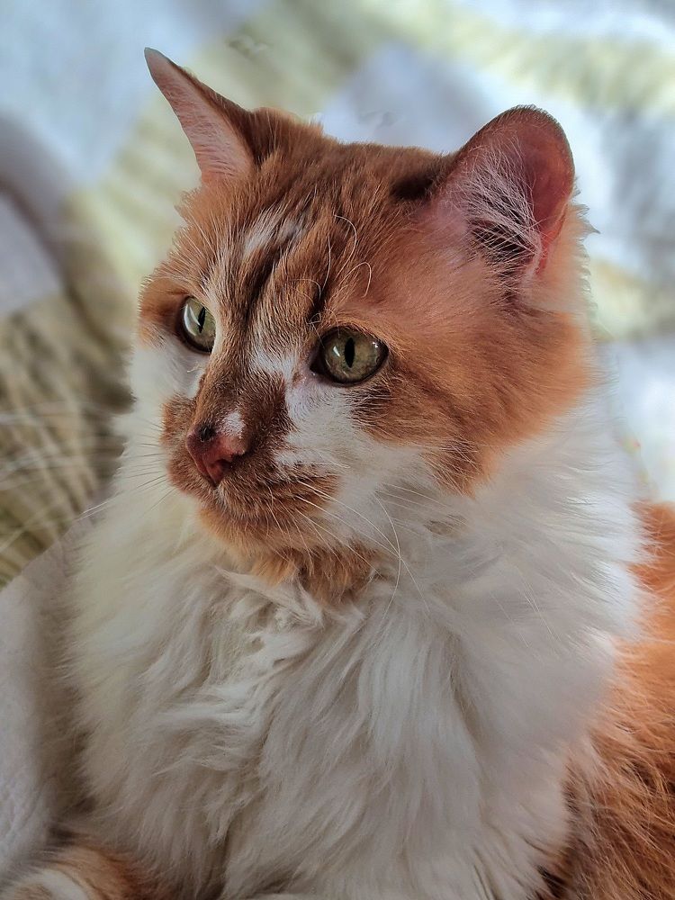 Однажды летом. Задумался:).