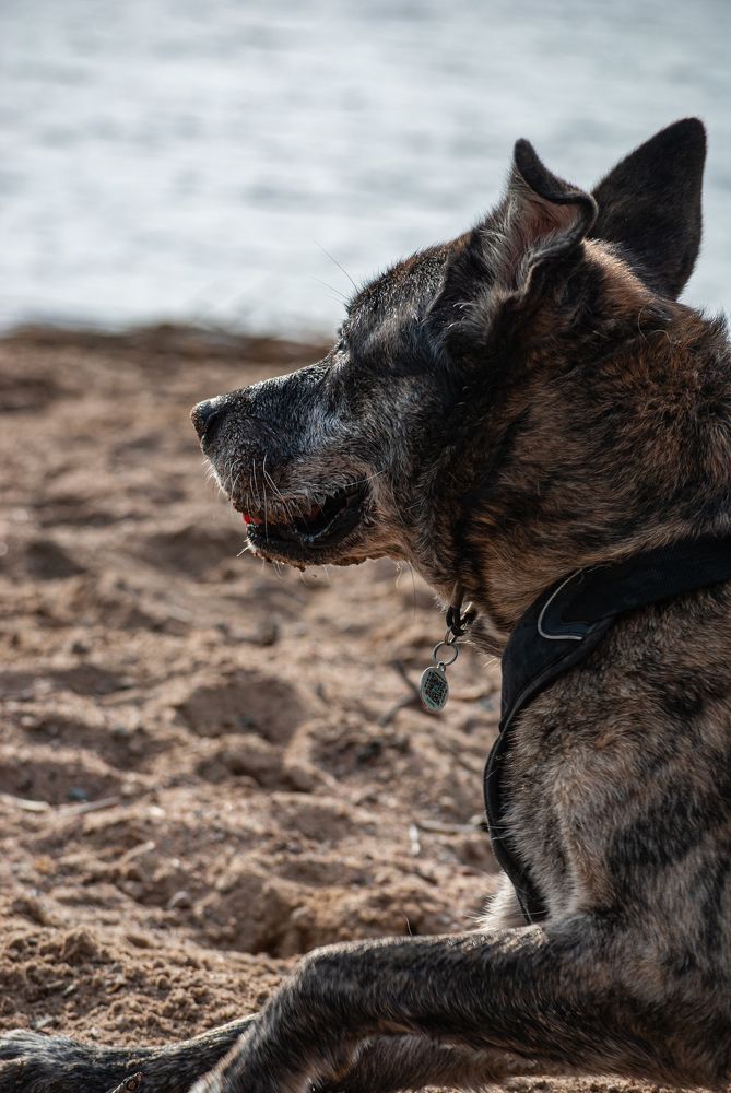 Photograph by Анна Архангельская