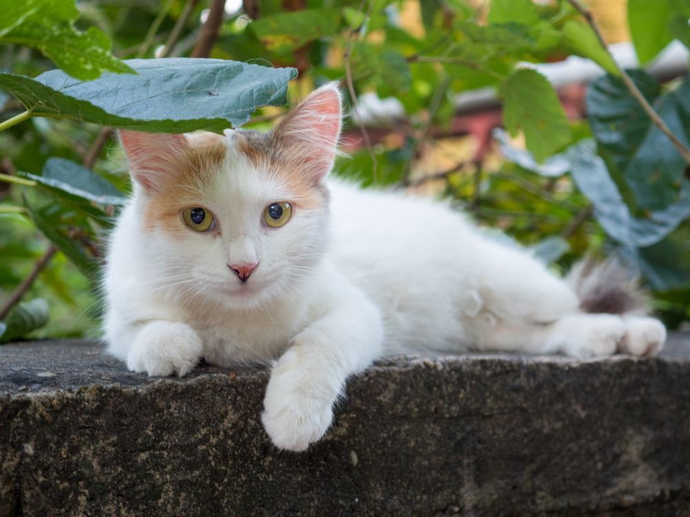 Photograph by Шейко Анна