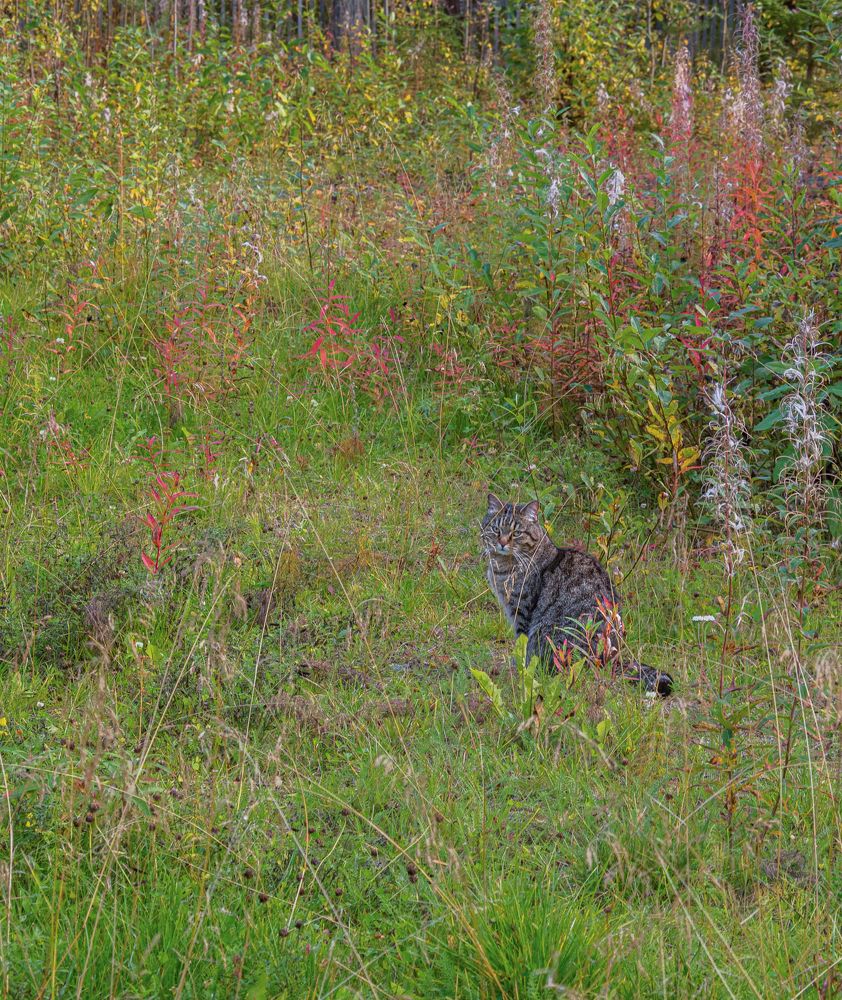 Photograph by Шейко Анна