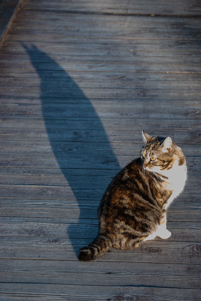 Photograph by Анна Архангельская