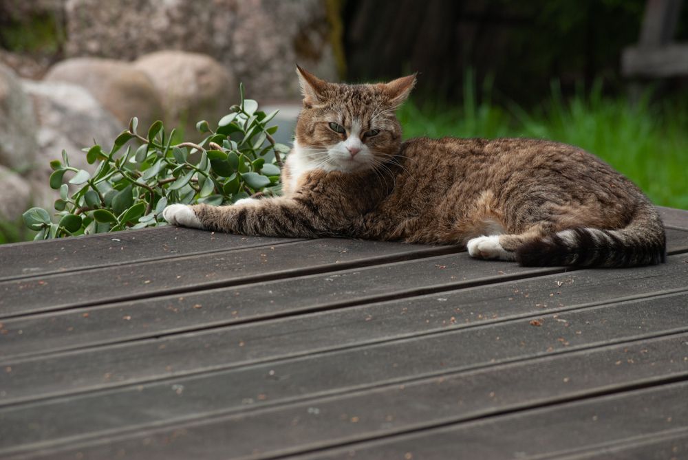 Photograph by Анна Архангельская