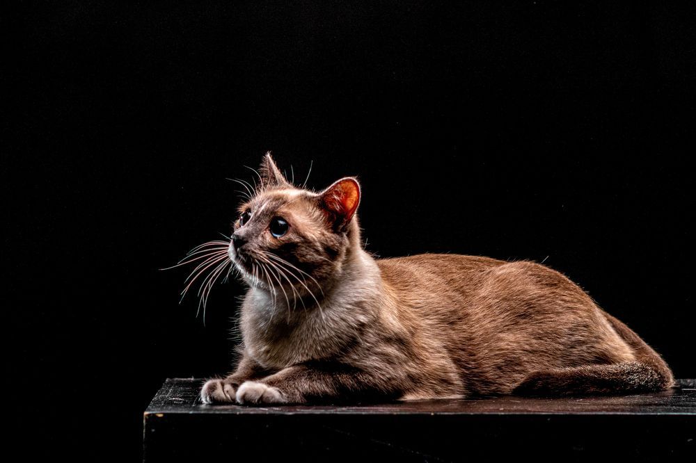 Photograph by Sergey Rygin