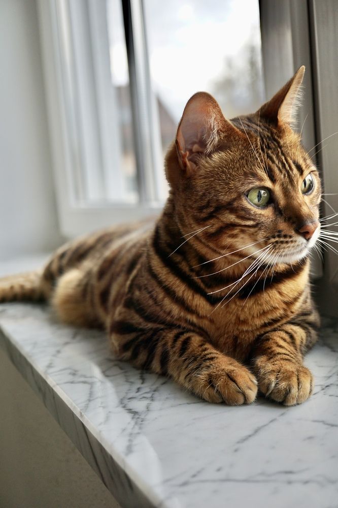 Фотография автора Liudmila Kiermeier